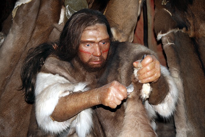 Aussterben Neandertaler